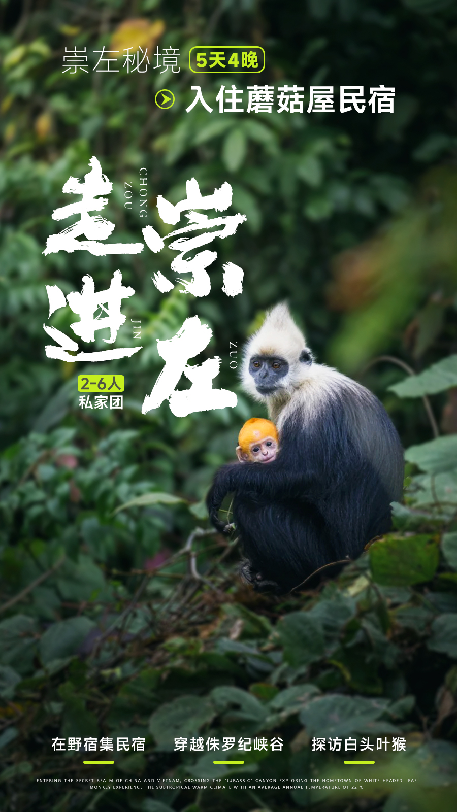 崇左亲子五日游（走进崇左）